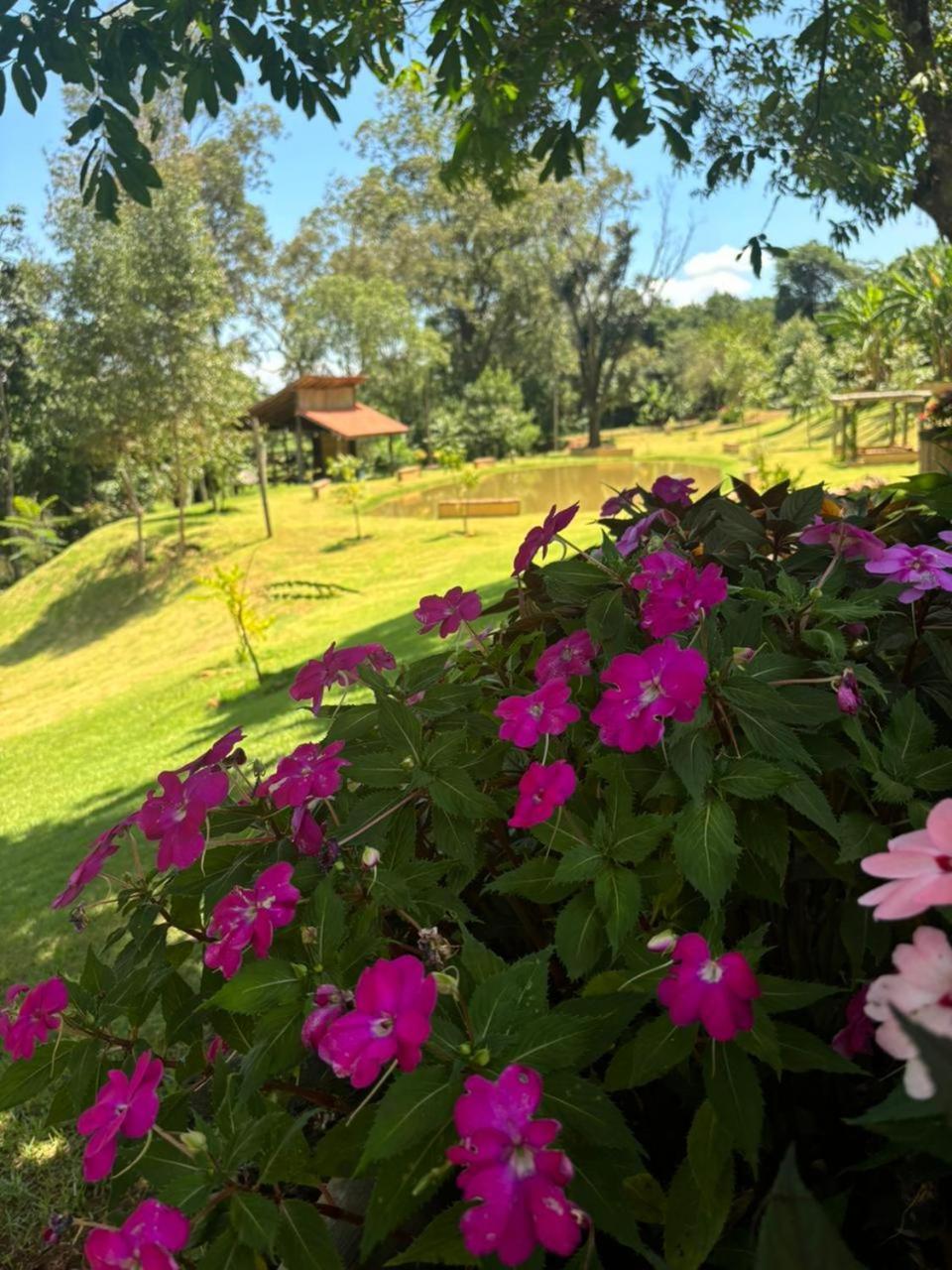 Отель Fazenda Brotas Sp Экстерьер фото